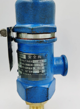 A21H-250P A21H-160 DA21F-64P微启式低温氧氮氩空二氧化碳安全阀