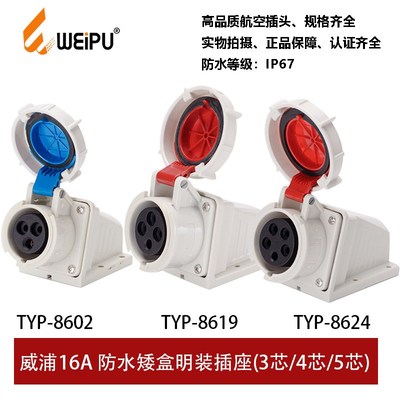 TYP-8602-8619-8624插座明装16A3P4芯5P防水连接器IP67工业插威浦