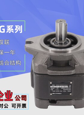 液压泵齿轮泵HG1/HG0/HG2-80/125-01R-VPC内啮合液压伺服油泵双