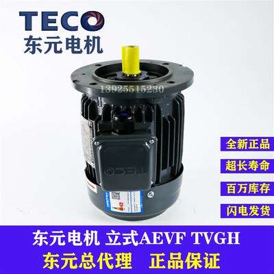 TECO东元电机0.18 0.37 0.75KW 1.5KW立AEVF AEMV3N 刹车制动TVGH