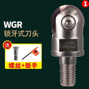 瓦洛克分体式 WGR刀头T2139球刀头精铣头子 瓦尔特P3200刀片锁牙式