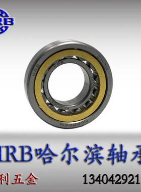 HRB单列圆柱滚子轴承N206EM NJ206EM NU206EM RN206M 42206 32206