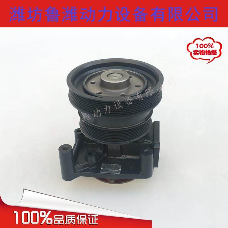 潍坊斯太尔WD615/WP10柴油机发动机水泵总成 8PK/10PK皮带轮水泵
