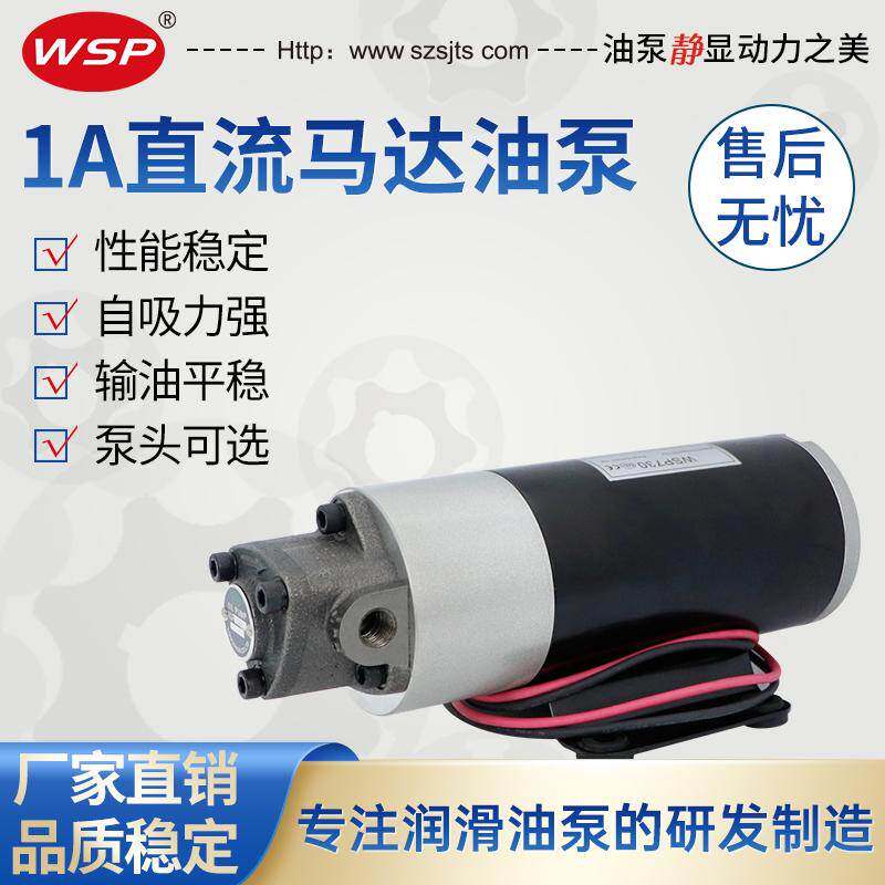 电动抽油泵12V汽车船用叉车保养46S店专用 自吸泵 机油齿轮泵24V