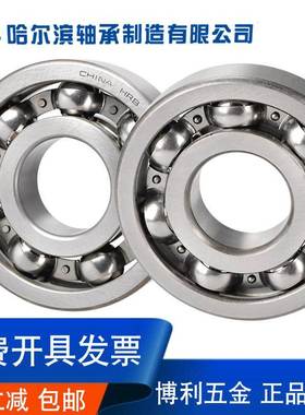 HRB哈尔滨轴承6415 6416 417 6418 6419 6420 6422向心球轴承单列