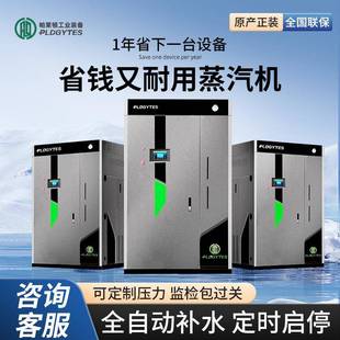 燃气锅炉天然气蒸汽发生器工业节能免监检全自动商用蒸汽发生器