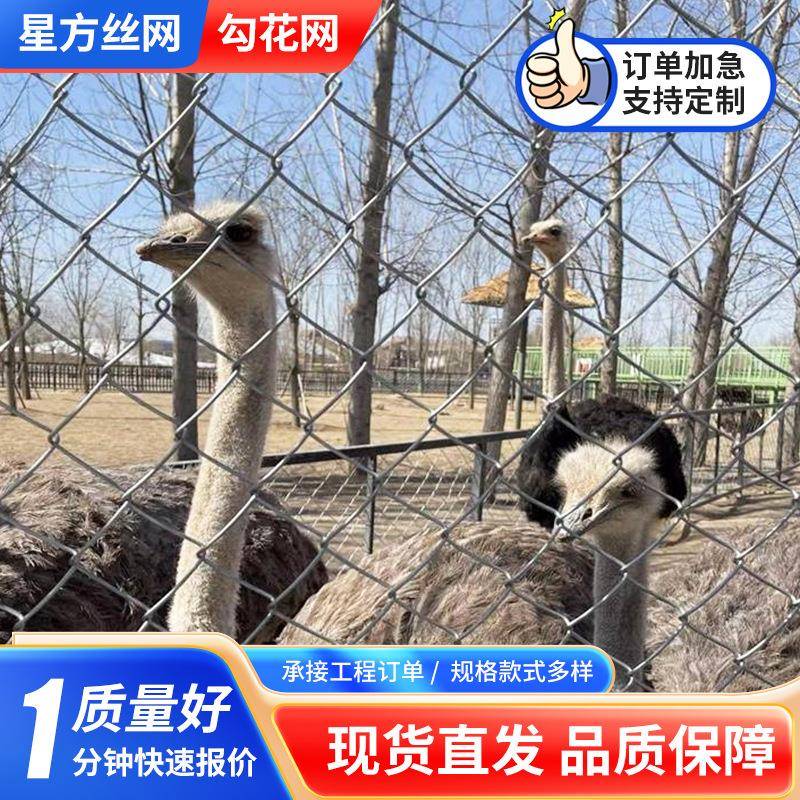 铁丝勾花网养殖养牛羊果园围栏热镀锌菱形拧花编织网煤矿支护围网