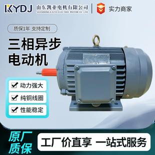 YE3三相异步电动机全铜380v电机30 90w千瓦