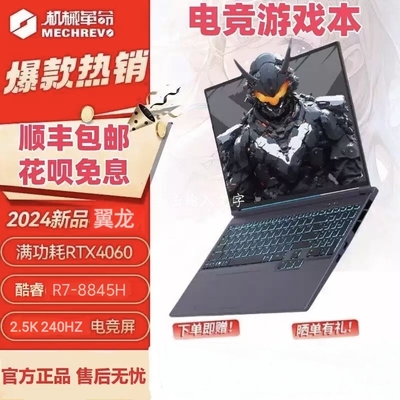 MECHREVO/机械革命 蛟龙16Pro R7-8845H/4060