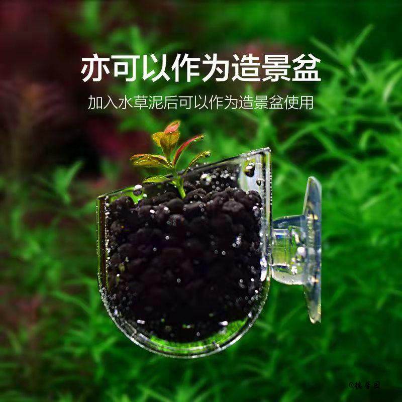 投食造景喂食两用水族防飘散红虫杯壁挂造景盆鱼缸器带吸盘虫漏,宠物/宠物食品及用品,鸟禽喂食器/喂水器,淘宝优惠券,粉丝福利购,淘宝优惠卷
