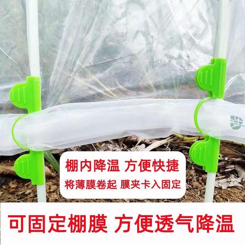 稳固支架夹子压膜夹防风夹绿植小