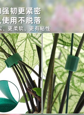 支撑爬藤魔术贴固定花型双面植物