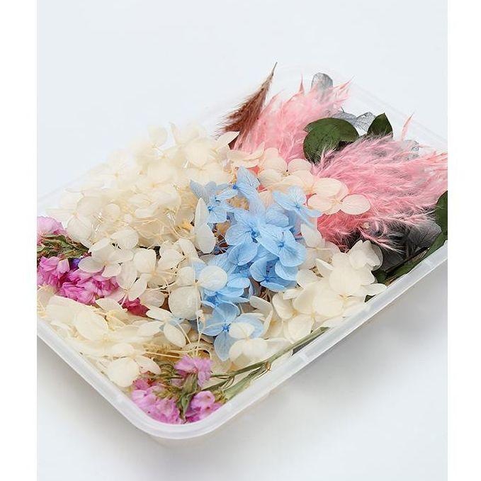 材料包叶子团扇礼盒干花活动