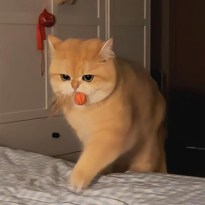 猫咪玩具羽毛弹力球消耗体力