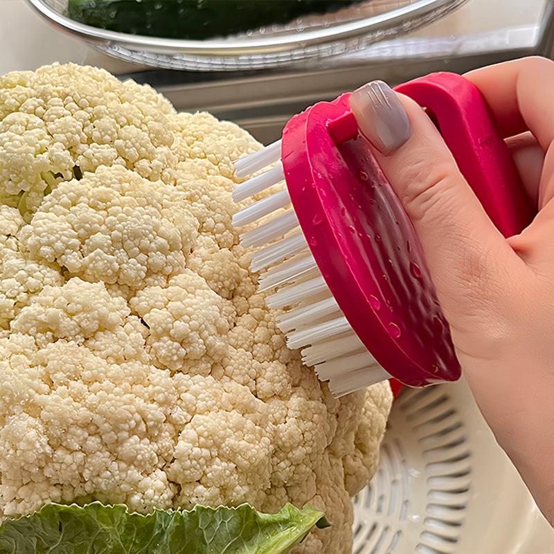 果蔬蔬菜水果厨房刷苹果型硬毛刷