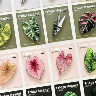 植物魔法冰箱贴珍稀植物创意绿植冰箱贴装饰文创纪念品冰箱贴