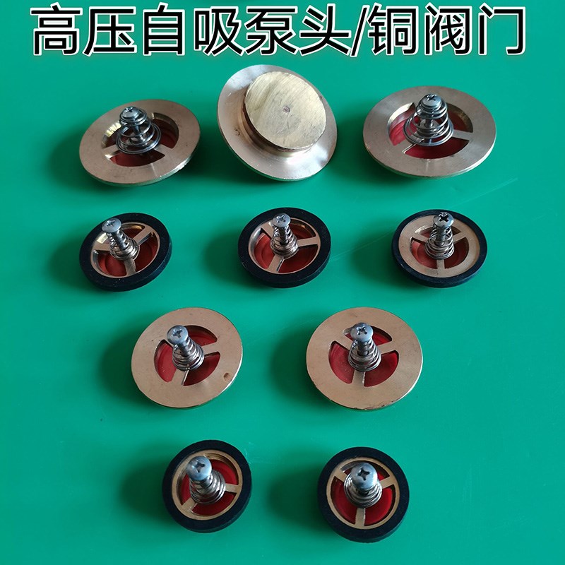 铜阀门螺杆自吸泵止回阀水堵喷射泵止回阀门皮垫自吸水泵配件螺杆