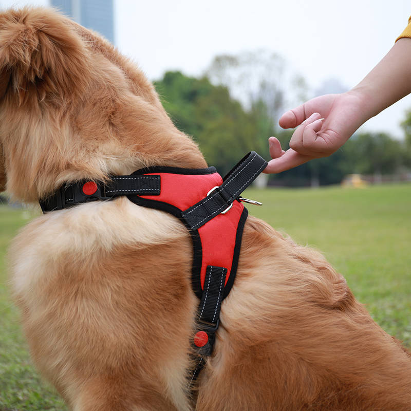 狗狗牵引绳胸背带小中大型犬狗链泰迪金毛宠物通用遛狗绳宠物用品