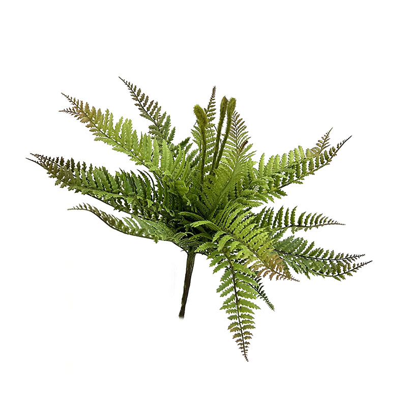 高品质蕨草大蕨叶肾蕨蕨类植物波斯草造景绿植橱窗布景假花软装摆