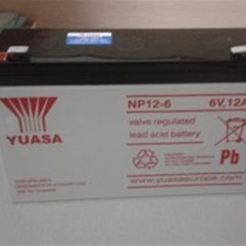 正品YUASA汤浅6V12AH应急电NP12-6 玩具车用蓄电池6V12.0AH