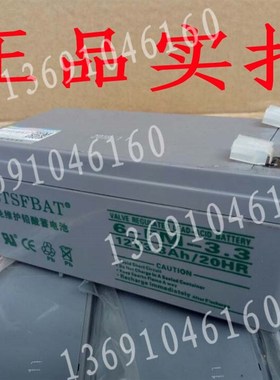 通用Weida电池6-FM-3.3 (12V3.3AH)消防设备应急电源电梯设备电池