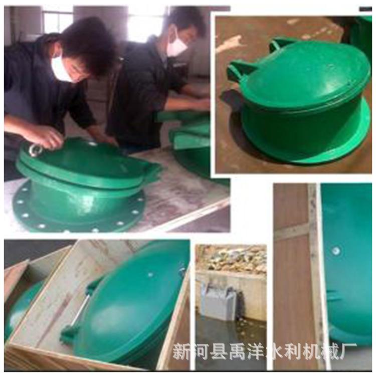 铸铁闸门 玻璃钢拍门污水处理拍门 不锈钢拍门侧翻式钢制拍门闸门