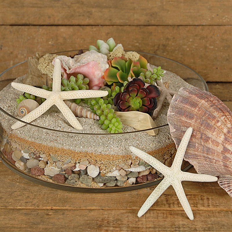 加厚手工大口径透明玻璃花瓶矮直桶水培绿植创意桌面造景装饰摆件