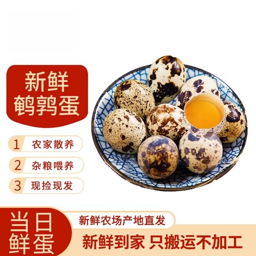 新鲜鹌鹑蛋杂粮喂养鹑鸟蛋宝宝辅食整箱批发优质营养鲜蛋家禽蛋类