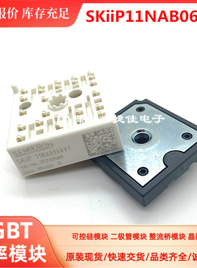 SKIIP13NAB065V1 SKIIP11NAB065V1 SKIIP14NAB065V1 12NAB066V1