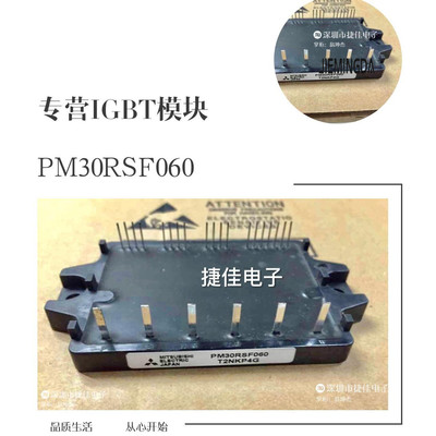 PM30RSF060 PM20RSF060 PM15RSF060 PM30CSJ060 PM20CNJ060/30CNJ