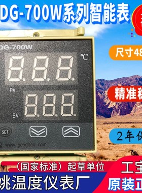 余姚温度仪表厂RLDG-700W 764W 754W高精度智能温控仪原装ZKG-A工