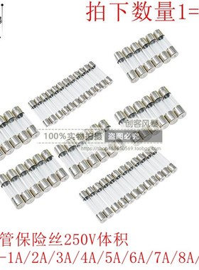 5X20mm玻璃管保险丝管 250V1A熔断器 玻璃保险丝管f1Al250V 100个