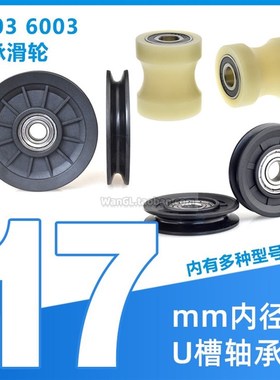 6203轴承动轮6003滚动轮导轮包塑滑轮尼龙轮导轮注塑机安全Ud17