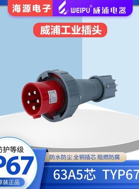 威浦63A5芯 TYP5924WEIPU 防水工业暗装直式插座3P+N+E 380V IP67