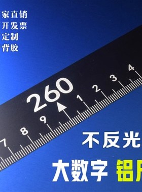 定制怡合达刻度尺 BLP 0 1 2 7 9 11 13 15 17 41 42 45 46 71 72