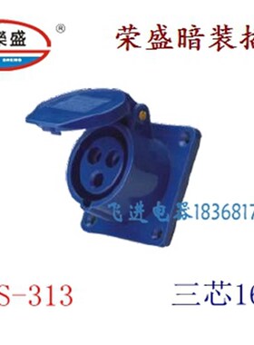 荣盛CEIRSIEC工业防水航空插座RS-313 暗装插座 3芯16A 220V
