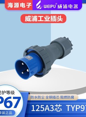 WEIPU威浦125A3芯 防水大电流工业插头TYP971 2P+E 220V IP67