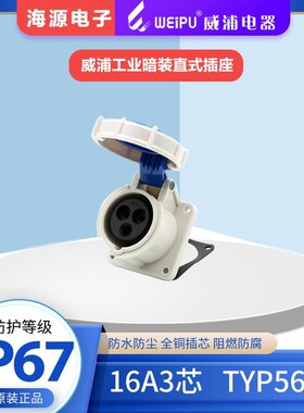 WEIPU威浦TYP5602 防水工业暗装直式插座 16A3芯 220V IP67