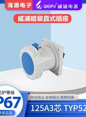 WEIPU威浦125A3芯 防水工业暗装直式插座 TYP5202 2P+E 220V IP67