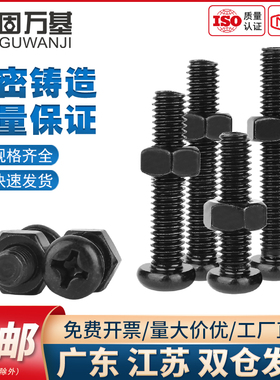 黑色304不锈钢十字圆头组合螺丝钉盘头螺丝螺母套装加长螺杆M2-M8