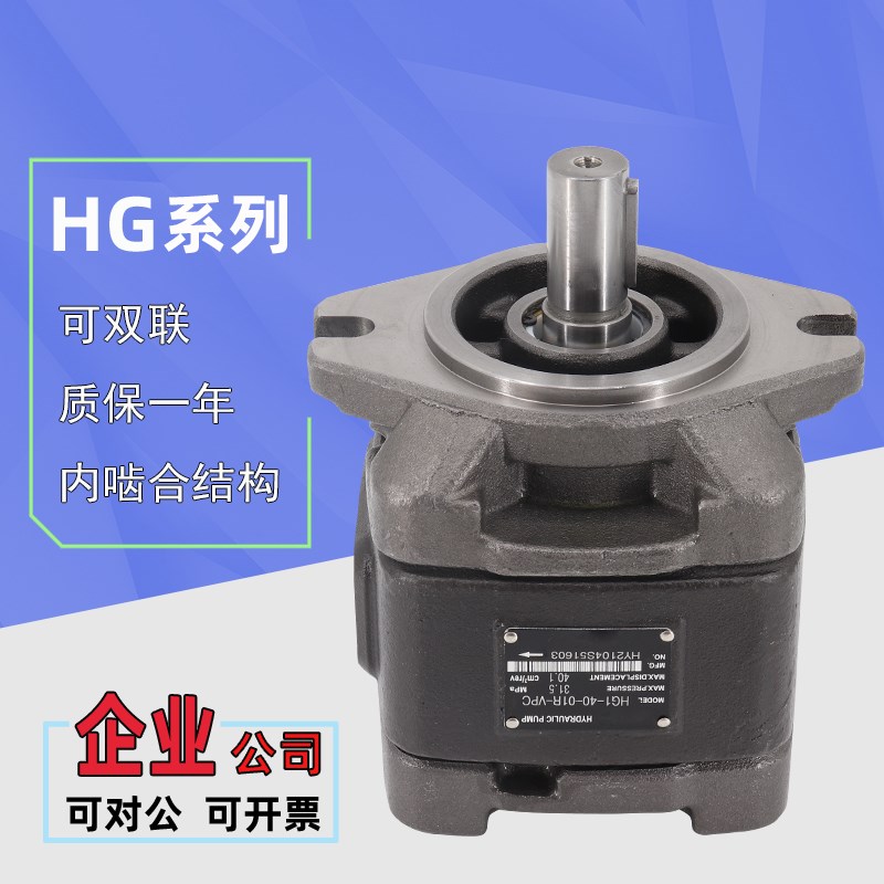 液压泵齿轮泵HG1/HG0/HG2-80/125-01R-VPC内啮合液压伺服油泵双