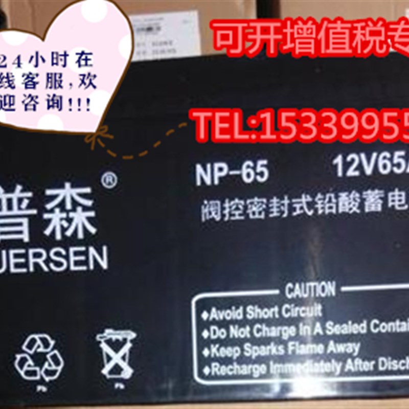 AOPUERSEN奥普森蓄电池NP-65 12V65AH 铅酸免维护 UPS电源 太阳能