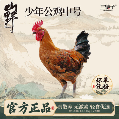 三德子好甄选少年公鸡中号 跑山鸡散养生态土鸡肉质鲜嫩农家散养