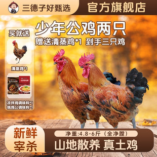 三德子【少年公鸡两只】山地散养120天农家溜达走地鸡生鲜鸡肉