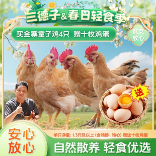 三德子好甄选金寨童子鸡农家散养生态土鸡公鸡跑山鸡新鲜宰杀鲜嫩