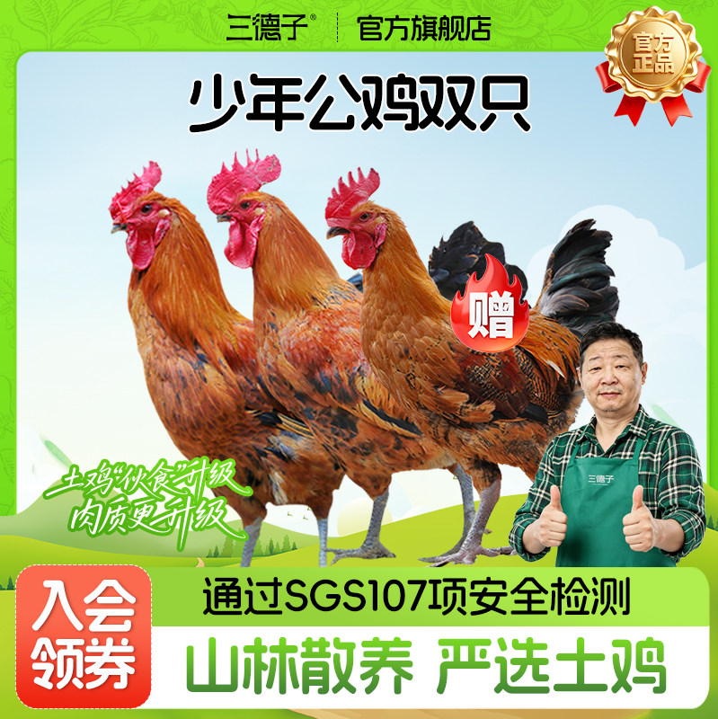 三德子少年雪山草鸡两只【赠清蒸鸡】净重6.2-8.4斤散养土鸡生鲜
