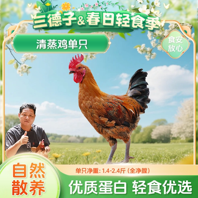 三德子好甄选 清蒸鸡 跑山鸡散养生态土鸡肉质鲜嫩农家散养
