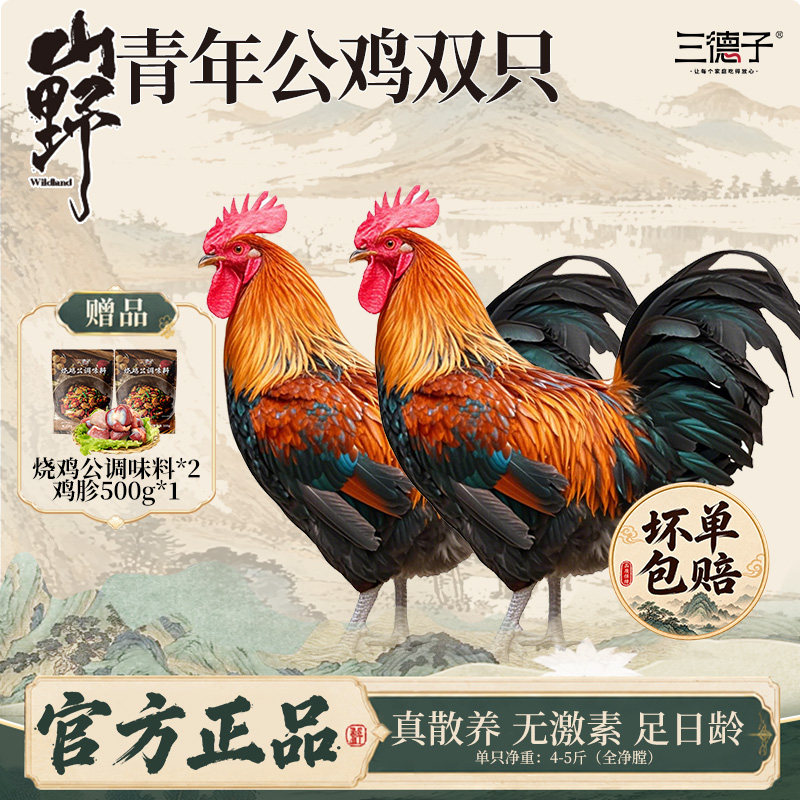 三德子散养青年公鸡全家都够吃图片