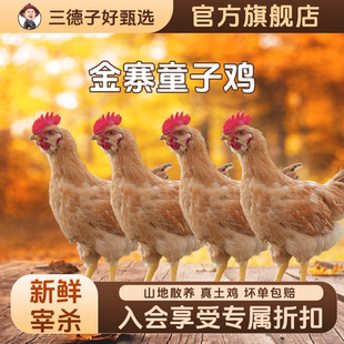 三德子好甄选金寨童子鸡农家散养生态土鸡公鸡跑山鸡新鲜宰杀鲜嫩