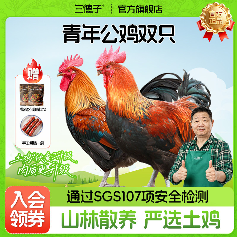 三德子好甄选 青年公鸡双只 散养生态鸡跑山鸡新鲜宰杀